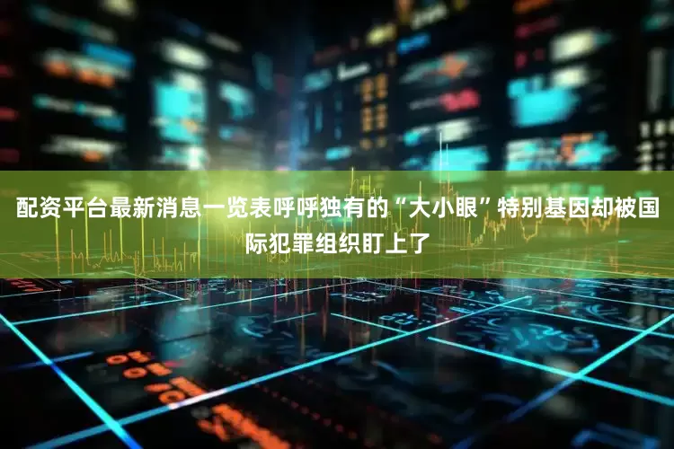配资平台最新消息一览表呼呼独有的“大小眼”特别基因却被国际犯罪组织盯上了