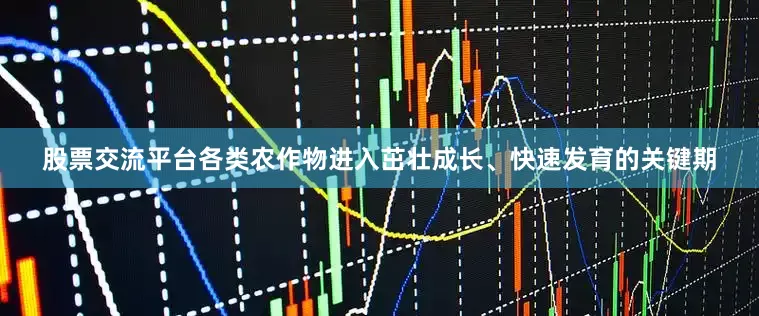 股票交流平台各类农作物进入茁壮成长、快速发育的关键期