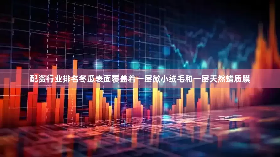 配资行业排名冬瓜表面覆盖着一层微小绒毛和一层天然蜡质膜